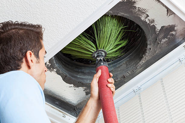Best Affordable HVAC Duct Cleaning  in Blennerhassett, WV