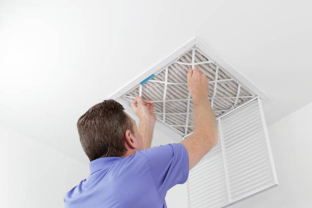 Best HVAC Air Duct Cleaning  in Blennerhassett, WV